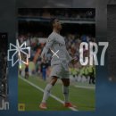 퍼플퍼피 이미지