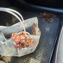 얼음별아이스크림할인점 세종소담점 | 5월 일상기록,고민은 많고 깨달음은 아직 없다.