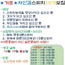 커넥트디 이미지