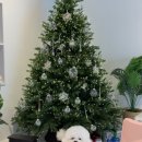 댕굴댕굴 이미지