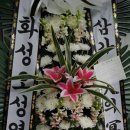 팔육회 이미지