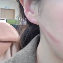 수요일만 풀근무 11.14.~11.20.