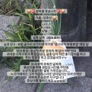 맘스터치부평 이미지