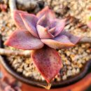 여율 행정사 사무소 이미지