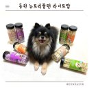 쌀강아지 | [뉴트리플랜] 저칼로리간식 라이트팝 후기! 0.7kcal 강아지다이어트 쌀과자