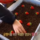 대박농장 이미지