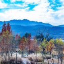 청계산수변공원 이미지