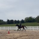 운주목장 | 34.제주 운주승마장 방문 후기(첫 좌속보 성공😝꺆!)