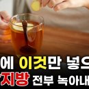 생강의 효능(뚱뚱한 한의사 이미지