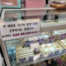쿠마카롱 이미지
