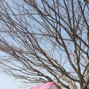 꽃지 화이트 펜션 이미지