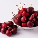 체리 이미지