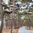 마실야영장 이미지