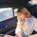 리사앤루이 이미지