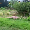 소롱코지 이미지