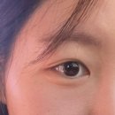 진해남산초등학교 | 진해 듀리브뷰티 속눈썹펌 민생쿠폰 가능 블랙틴팅펌 유지력+효과 강추!! 후기