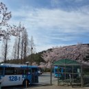 한지 교차로 2 | 부산 사상구 무료애견운동장 반려동물숲속놀이터