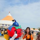 부여 - 유채밭 토마토 축제 - 박영재 댄스스포츠 전문학원