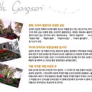공세리성지성당 박물관 Daum카페