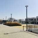 용산-445 이미지