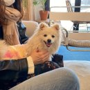 적귀천 | 헤이리 주민의 헤이리마을 카페 총정리, 주차 정보, 애견동반 가능한 곳