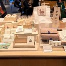 숲의동화 | 제주 동화마을 제주 소품샵 도토리숲 코리코카페 파리바게트 후기(내돈내산)