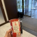 돈사쿠 | 일본/오사카 여행: 이치란 보다 맛있었던 사쿠노사쿠 라멘 후기