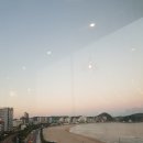 🌊 송정바다 뷰 끝판왕! 부산 송정 할리스DI &amp; 투썸플레이스 송정힐스점 후기