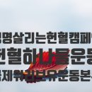 국제위러브유(회장 장길자) 2021 전세계 헌혈하나둘운동/Saving he Earth 이미지