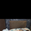 하울 애견 유치원 이미지