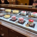 백화점길 | 성심당 롯데백화점 오픈런 말차 시루 평일 후기 롯데백화점 주차 나가는 길 꿀팁