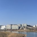 신정김밥