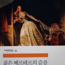 괴테의 젊은 베르테르의 슬픔 이미지