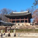 변신하개 | 서울 창덕궁 후원 [1]