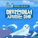 산리오 이미지