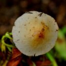 메리힐어린이집 이미지