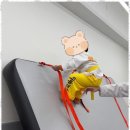 으뜸태권도 이미지