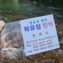 학유정민박 이미지