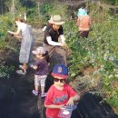 서울농자재 이미지