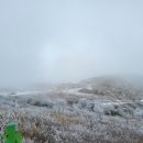 블랙야크 개방화장실 이미지