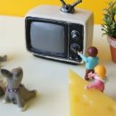 화이트텔 이미지