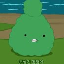 거랑 이미지
