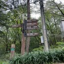 앞산강아지 | 대구 남구 앞산 앞산전망대 등산 후기