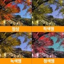 룩스토어수성중동점 네이버블로그