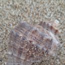 선창마트 네이버블로그