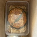 상학목장 이미지