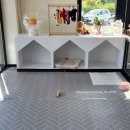 댕댕스파 이미지