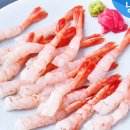 북방새우 네이버블로그
