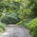 사우약수터 이미지