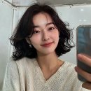 더하다 헤어살롱 | 머릿결 고민 끝! 이수역미용실 살롱드키코 클리닉이 답입니다